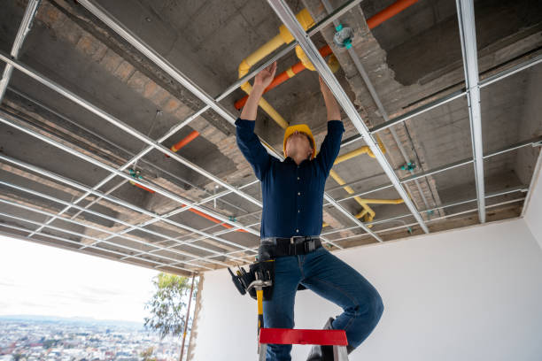 Best Commercial Plumbing Services  in Schleswig, IA