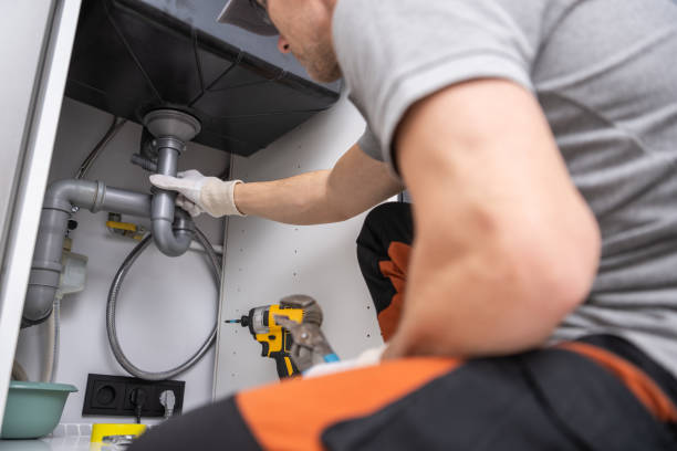 Best Best Plumbers Near Me  in Schleswig, IA